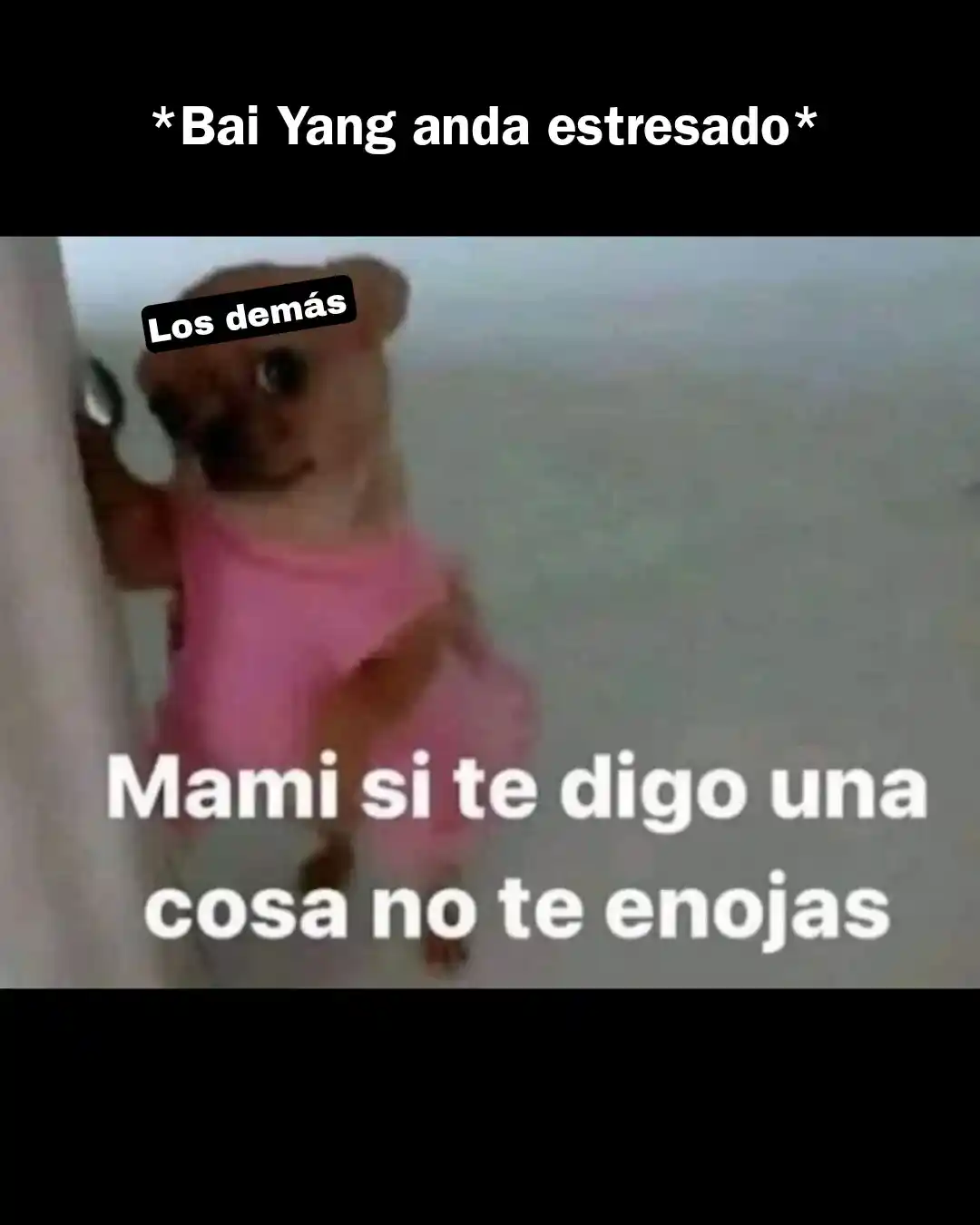 Dormitorio De Chicos 303 - Capítulo 256 - Página 8 - LectorTMOo