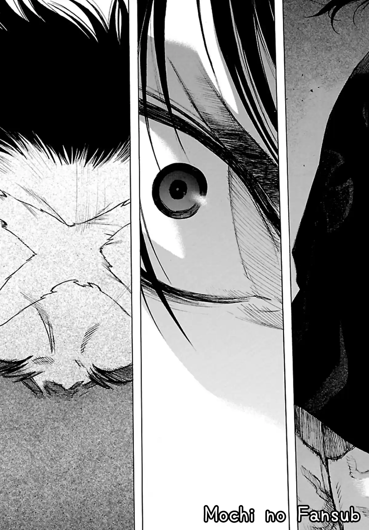 Dororo To Hyakkimaru Den - Capítulo 14 - Página 27 - LectorTMOo