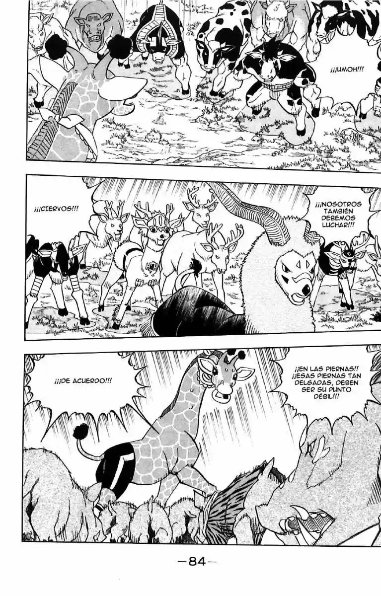 Doubutsu No Kuni - Capítulo 16 - Página 33 - LectorTMOo