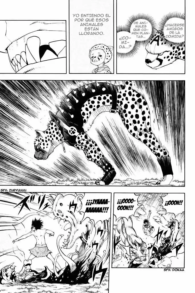 Doubutsu No Kuni - Capítulo 27 - Página 35 - LectorTMOo