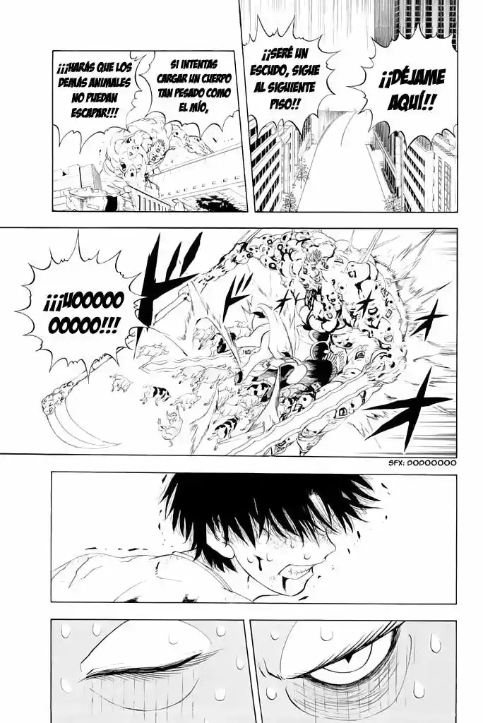 Doubutsu No Kuni - Capítulo 33 - Página 22 - LectorTMOo