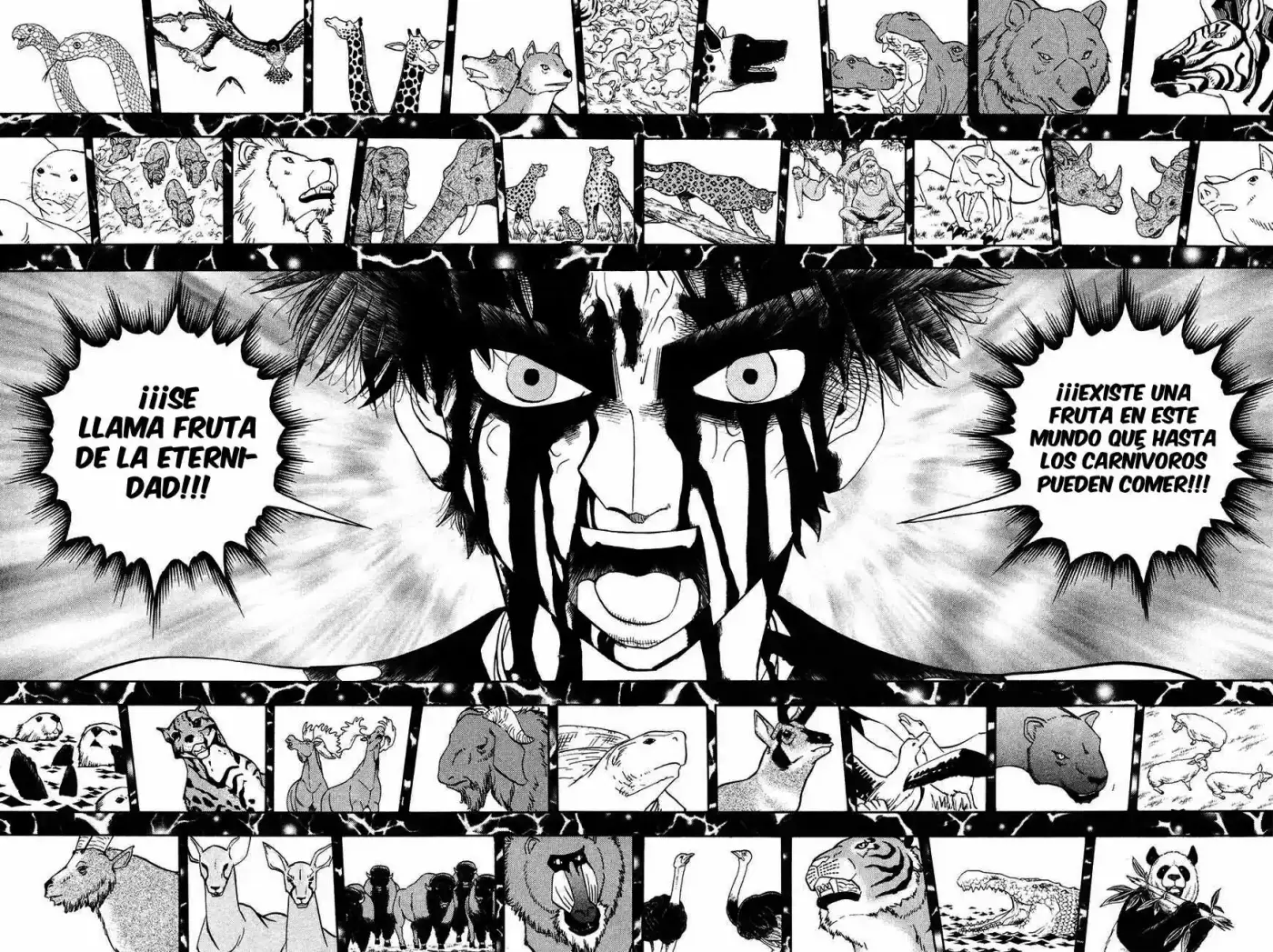 Doubutsu No Kuni - Capítulo 52 - Página 21 - LectorTMOo