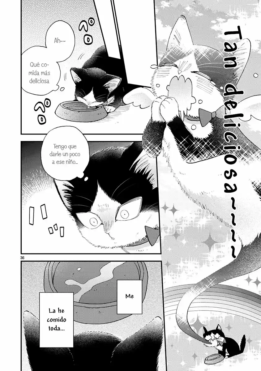 Doukyonin Wa Hiza, Tokidoki, Atama No Ue - Capítulo 14.50 - Página 11 - LectorTMOo