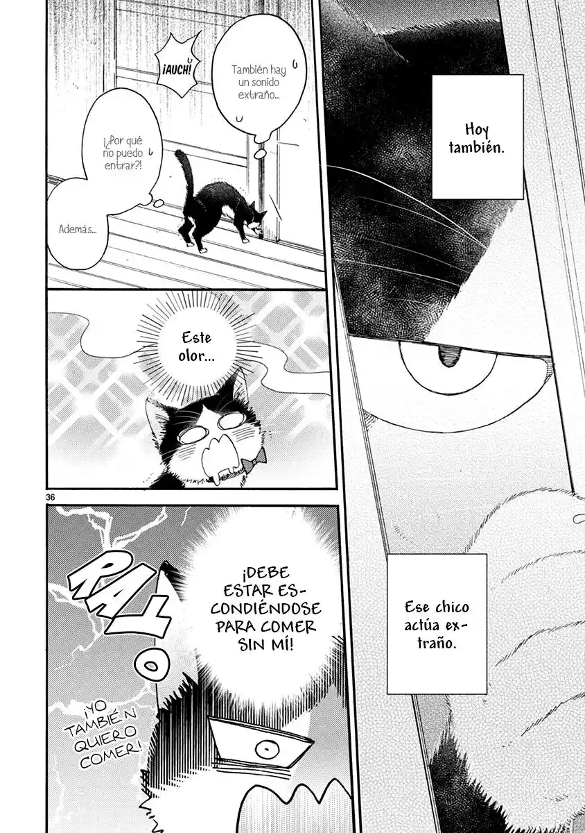 Doukyonin Wa Hiza, Tokidoki, Atama No Ue - Capítulo 15.50 - Página 4 - LectorTMOo