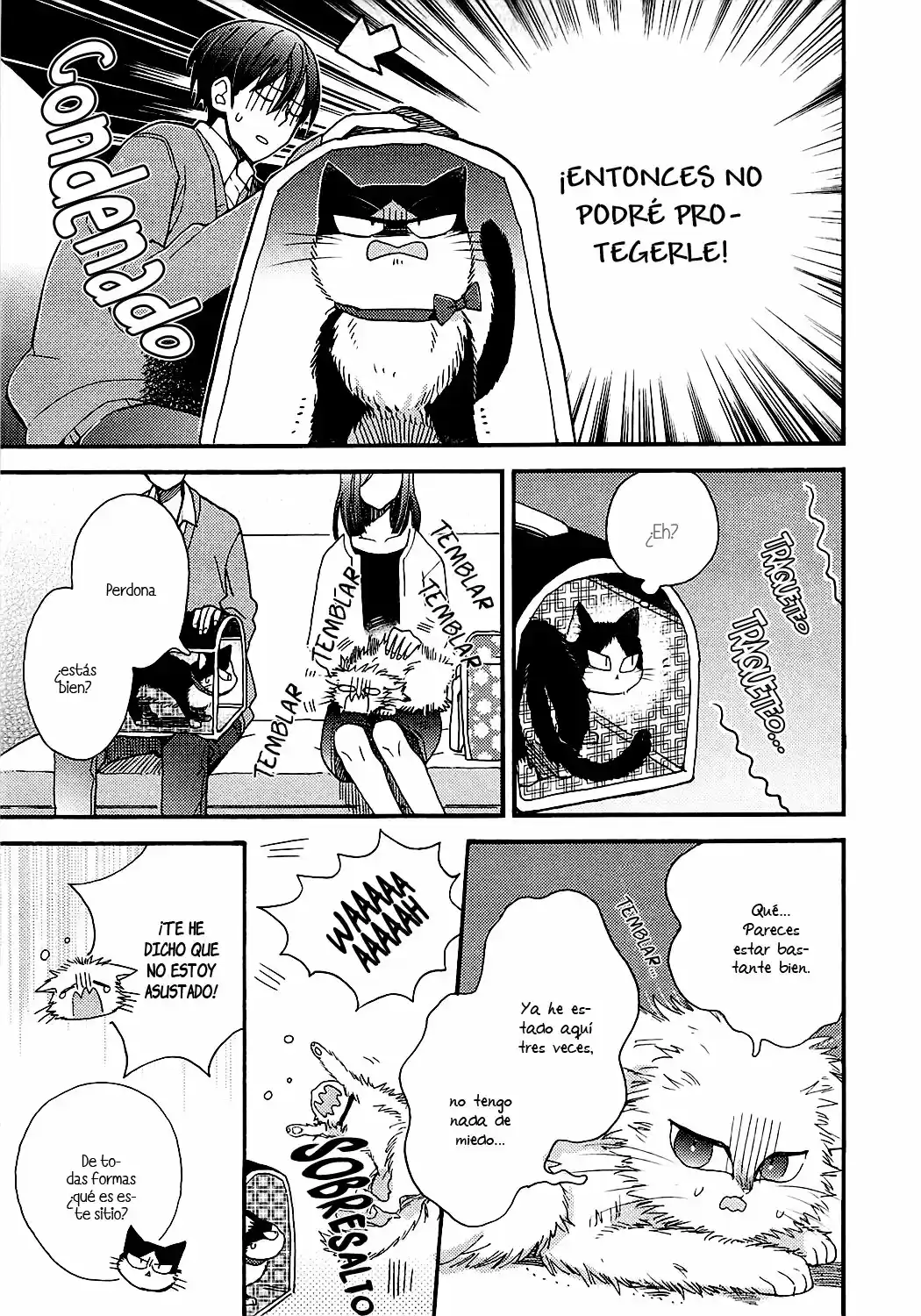 Doukyonin Wa Hiza, Tokidoki, Atama No Ue - Capítulo 7.50 - Página 5 - LectorTMOo