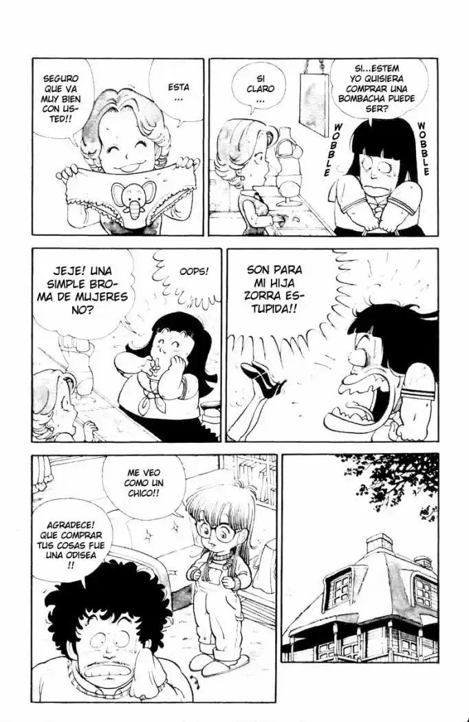 Dr Slump - Capítulo 1 - Página 13 - LectorTMOo