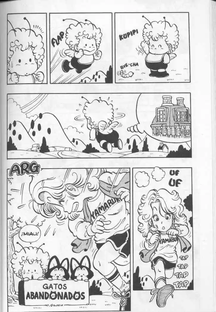 Dr Slump - Capítulo 43 - Página 13 - LectorTMOo