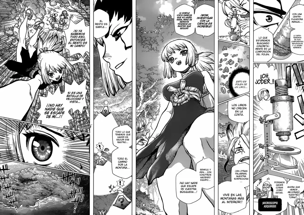 Dr.Stone - Capítulo 104 - Página 13 - LectorTMOo