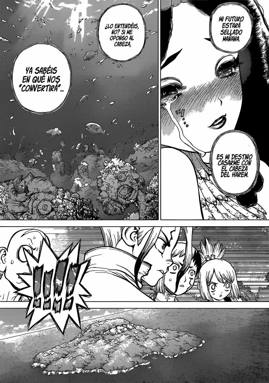 Dr.Stone - Capítulo 105 - Página 5 - LectorTMOo