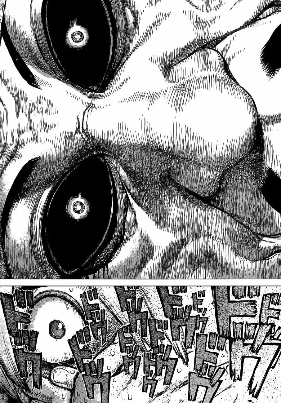 Dr.Stone - Capítulo 108 - Página 18 - LectorTMOo