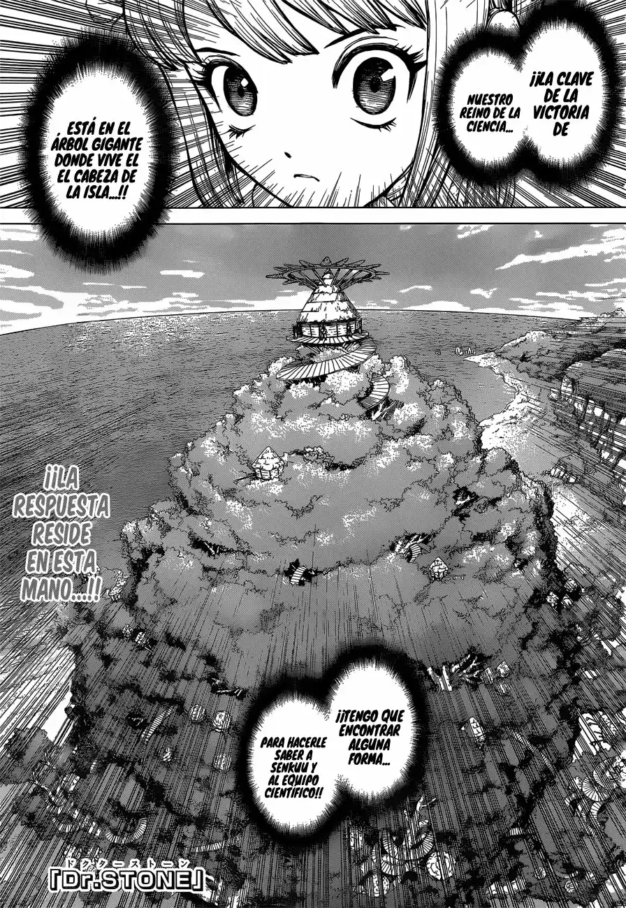 Dr.Stone - Capítulo 113 - Página 4 - LectorTMOo