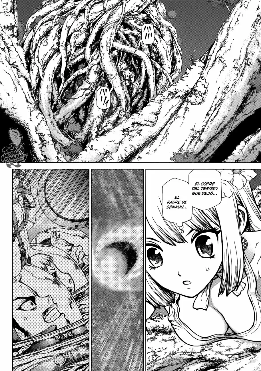 Dr.Stone - Capítulo 114 - Página 5 - LectorTMOo