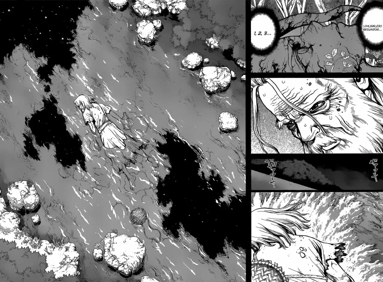 Dr.Stone - Capítulo 115 - Página 17 - LectorTMOo