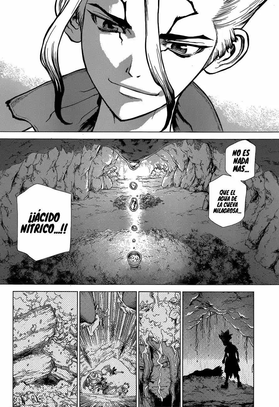 Dr.Stone - Capítulo 116 - Página 5 - LectorTMOo