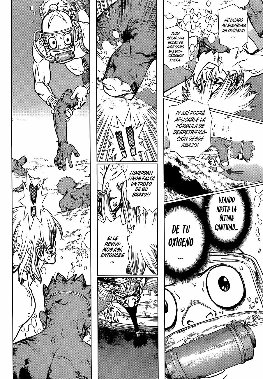 Dr.Stone - Capítulo 118 - Página 12 - LectorTMOo