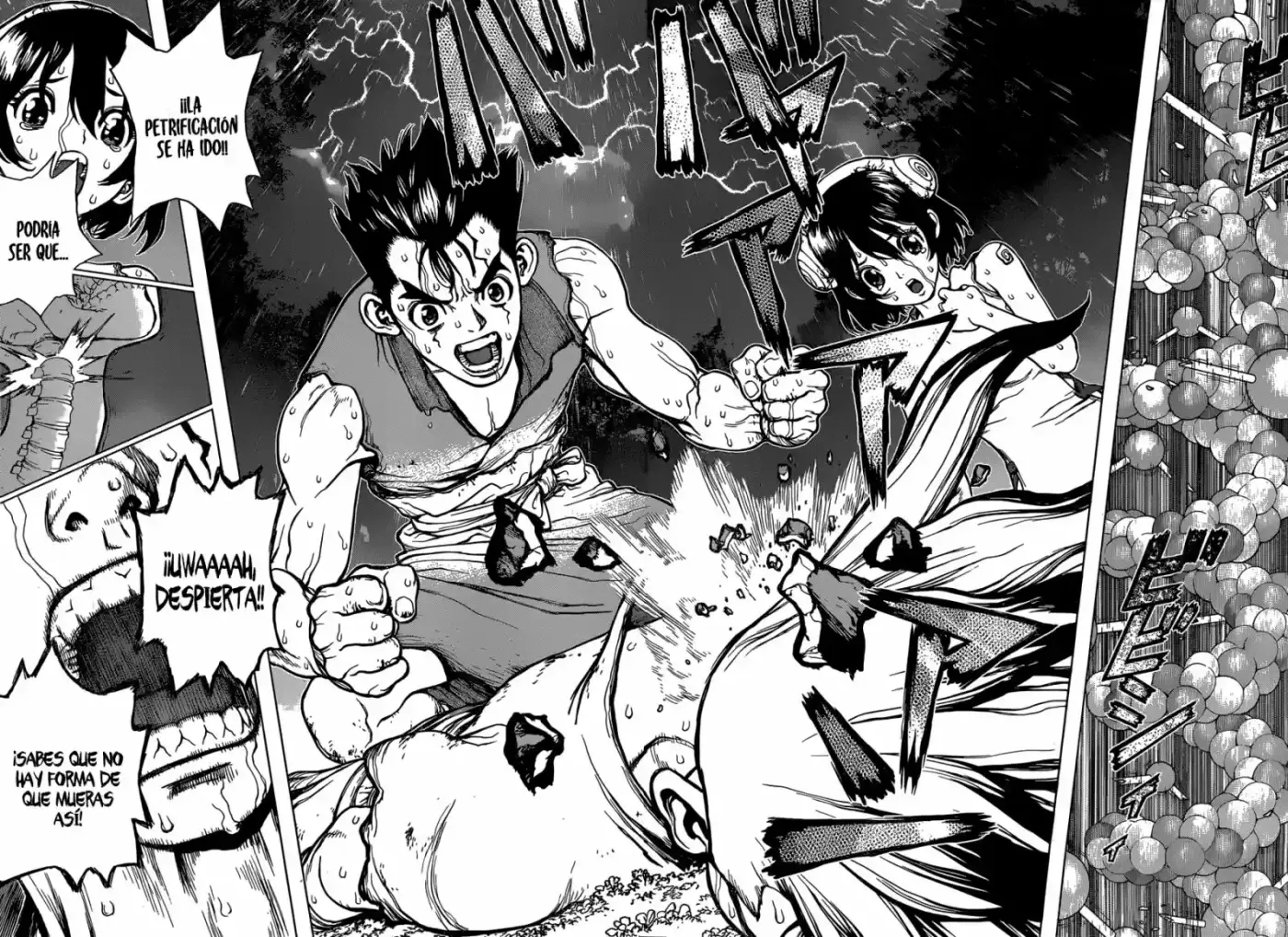 Dr.Stone - Capítulo 12 - Página 13 - LectorTMOo