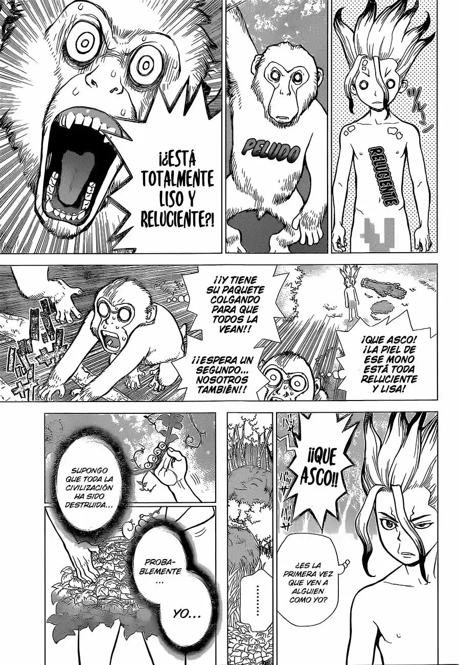 Dr.Stone - Capítulo 13 - Página 5 - LectorTMOo