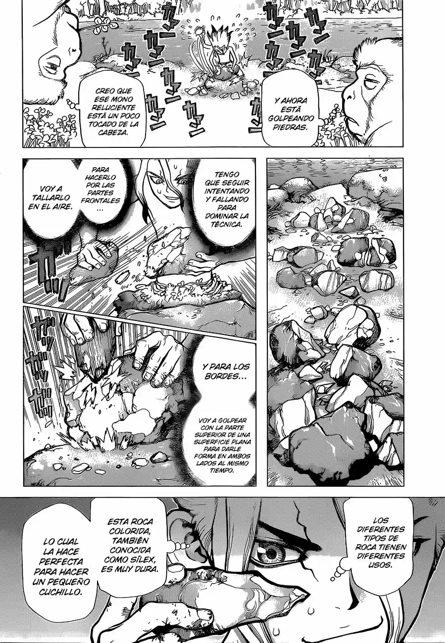 Dr.Stone - Capítulo 13 - Página 11 - LectorTMOo
