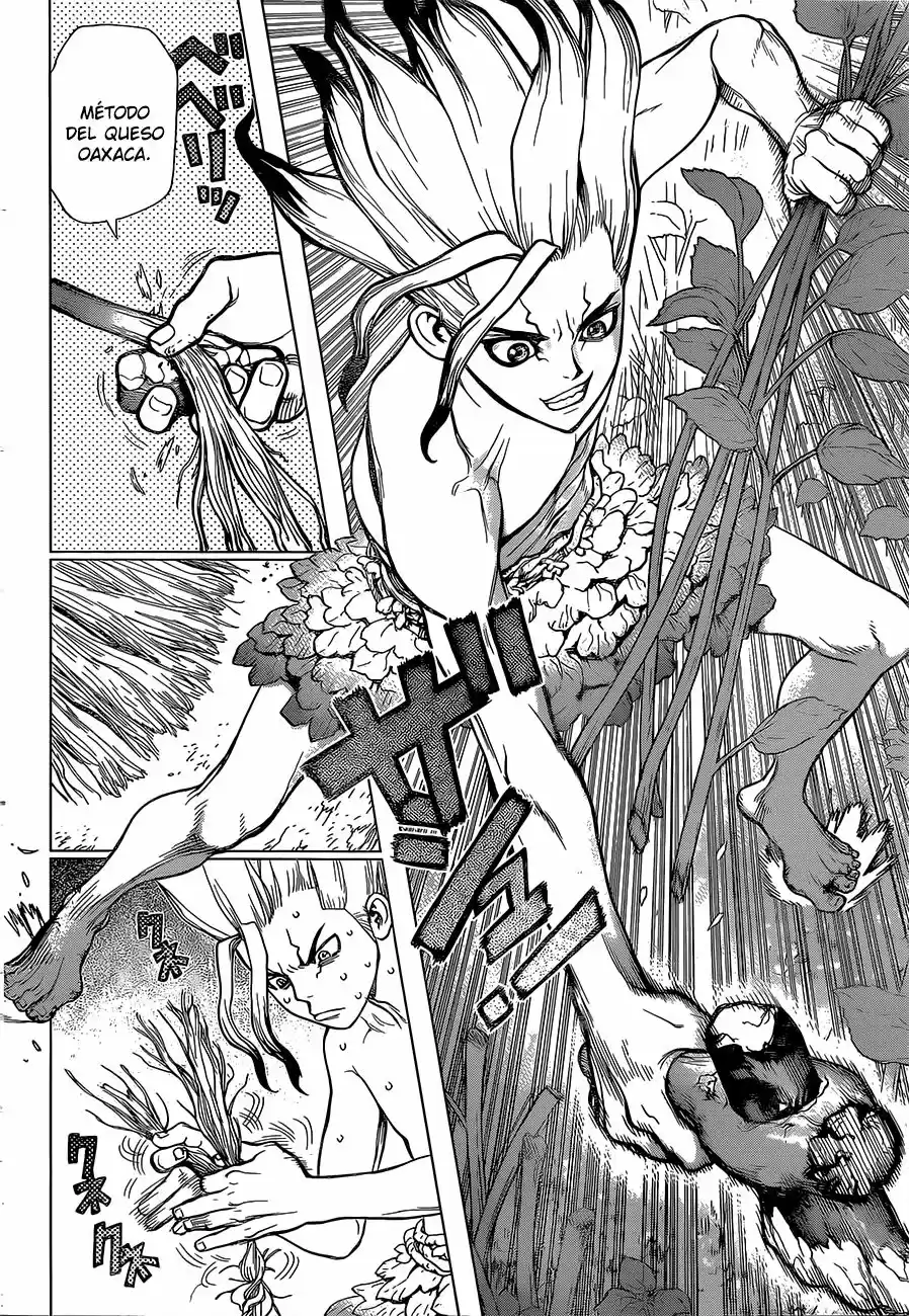 Dr.Stone - Capítulo 13 - Página 13 - LectorTMOo