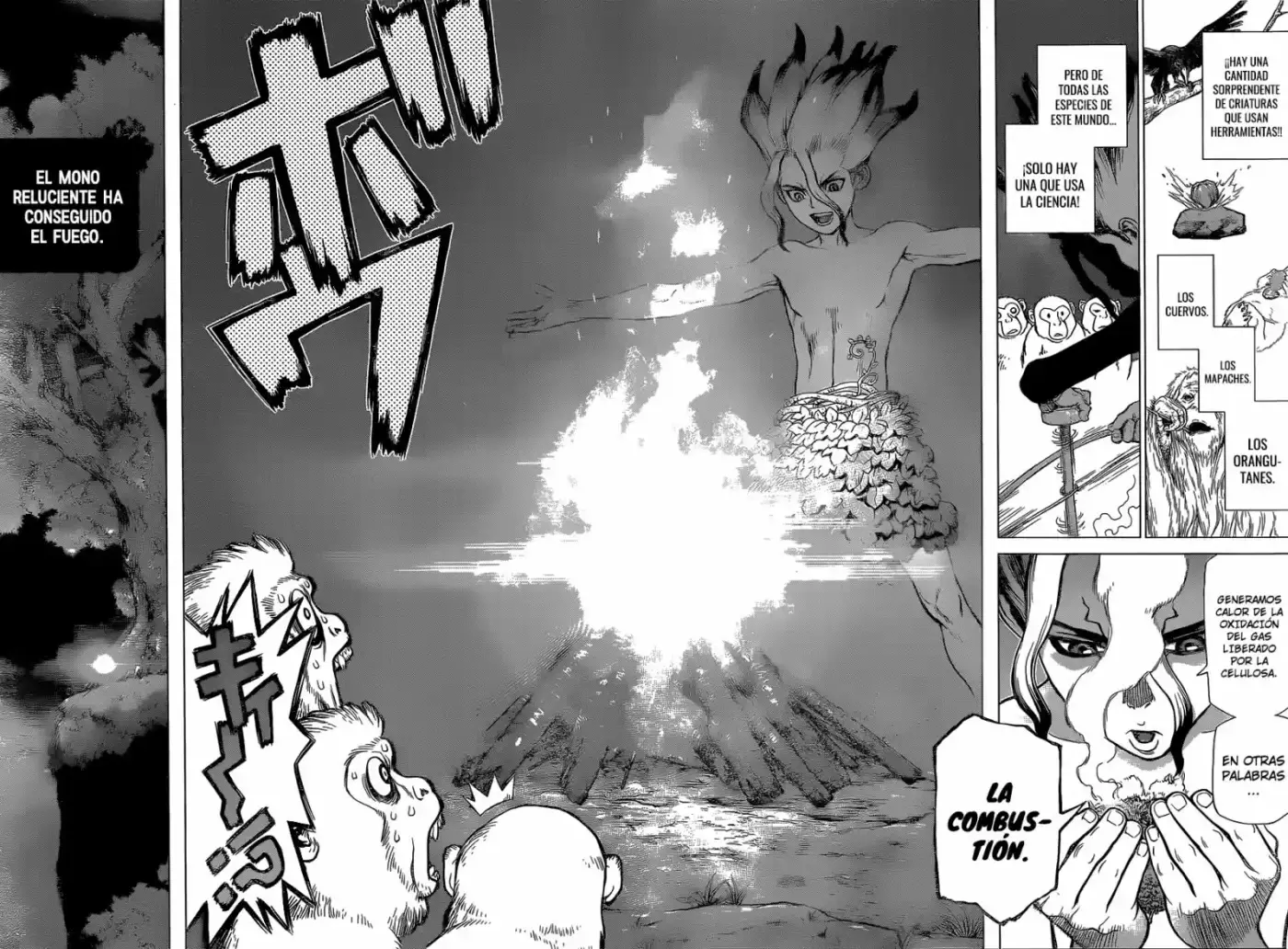Dr.Stone - Capítulo 13 - Página 15 - LectorTMOo