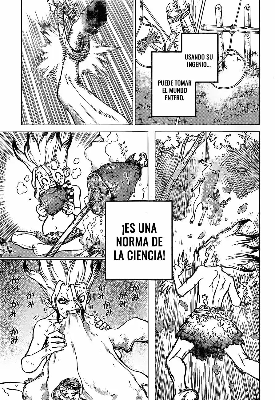 Dr.Stone - Capítulo 13 - Página 17 - LectorTMOo