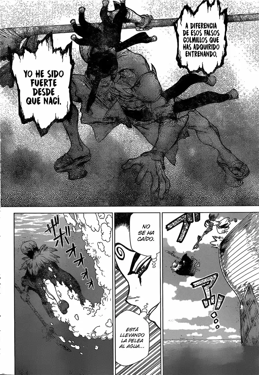 Dr.Stone - Capítulo 132 - Página 8 - LectorTMOo