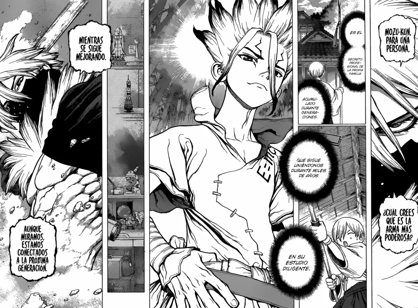 Dr.Stone - Capítulo 132 - Página 17 - LectorTMOo