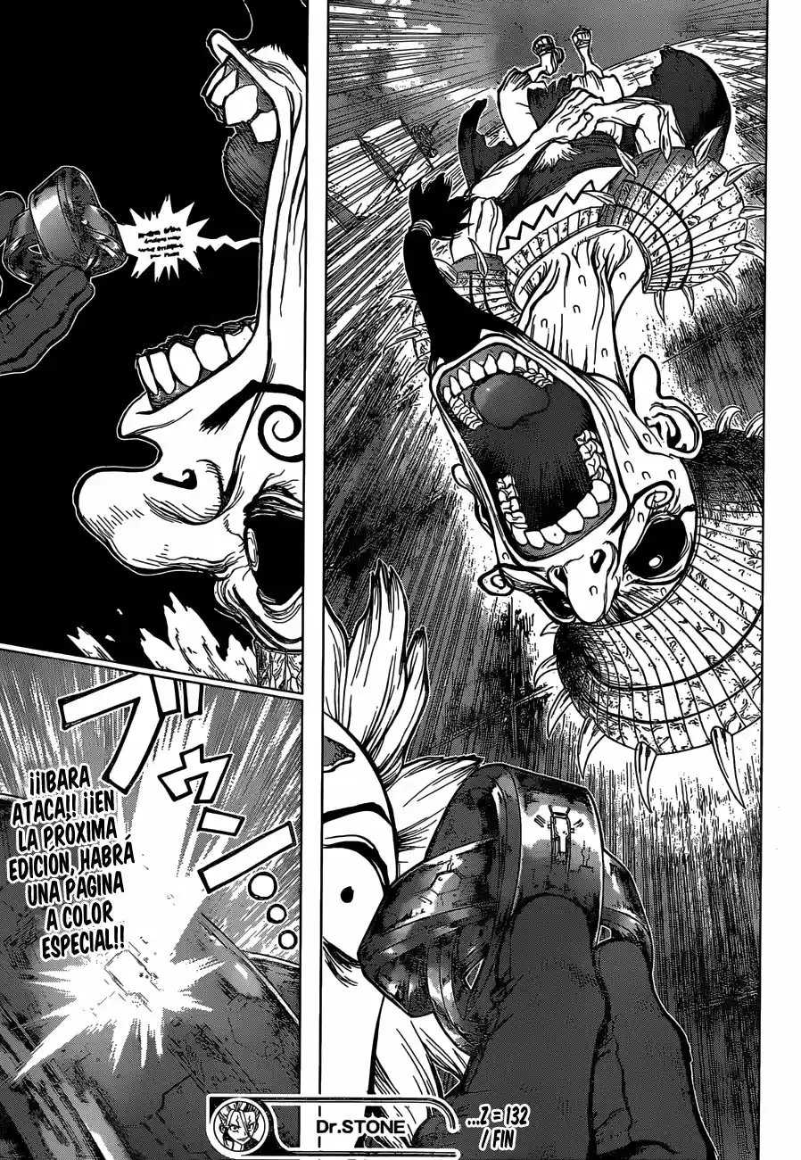 Dr.Stone - Capítulo 132 - Página 19 - LectorTMOo