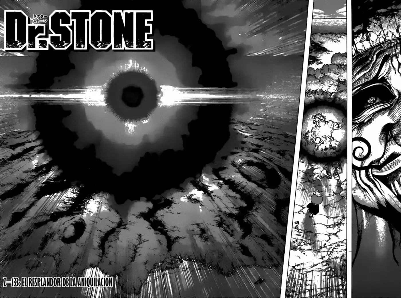 Dr.Stone - Capítulo 133 - Página 17 - LectorTMOo