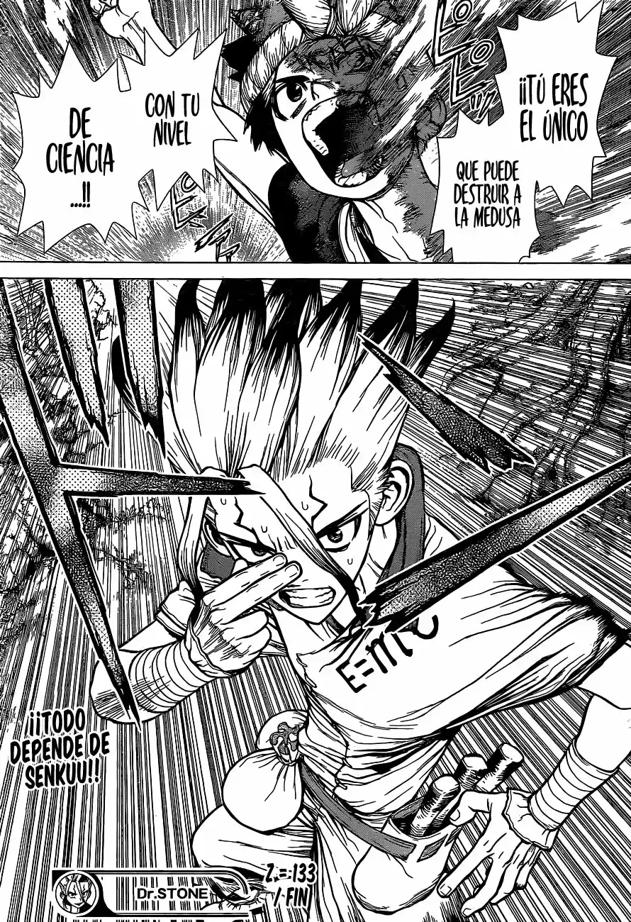 Dr.Stone - Capítulo 133 - Página 19 - LectorTMOo