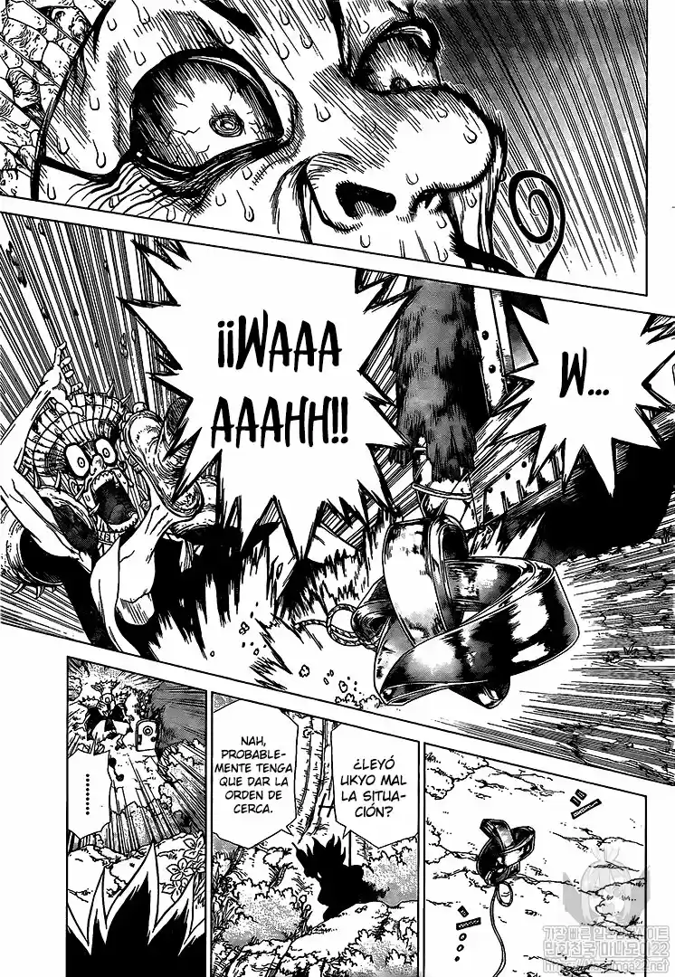 Dr.Stone - Capítulo 134 - Página 17 - LectorTMOo