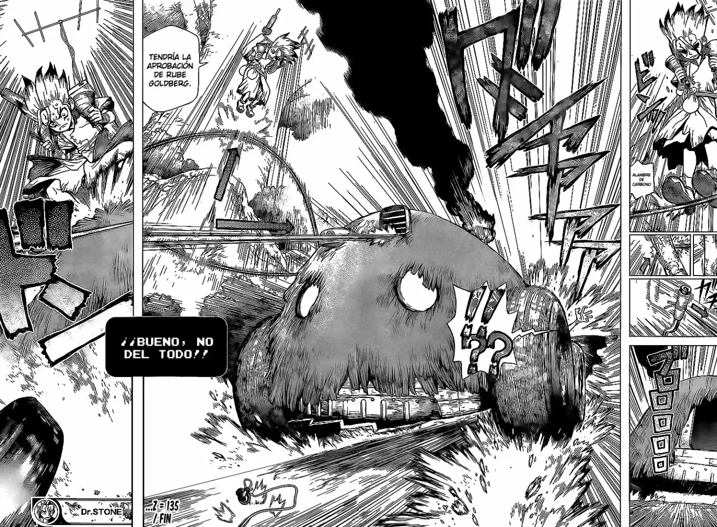 Dr.Stone - Capítulo 135 - Página 17 - LectorTMOo