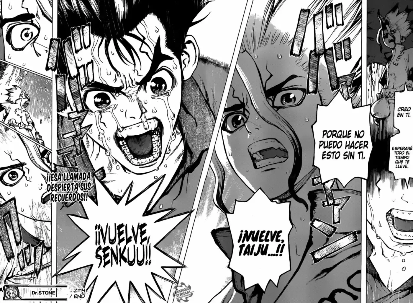 Dr.Stone - Capítulo 14 - Página 17 - LectorTMOo