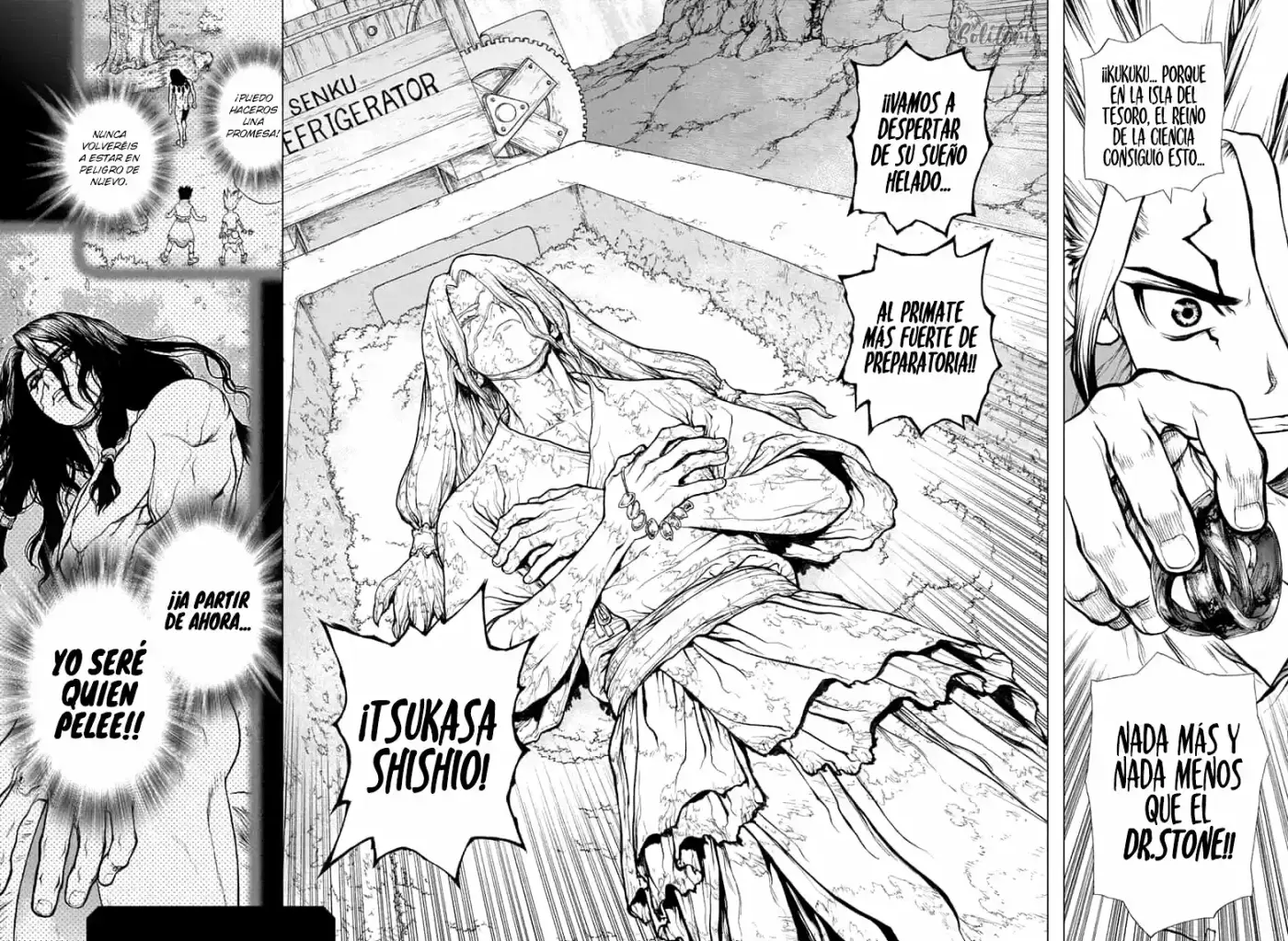 Dr.Stone - Capítulo 140 - Página 17 - LectorTMOo