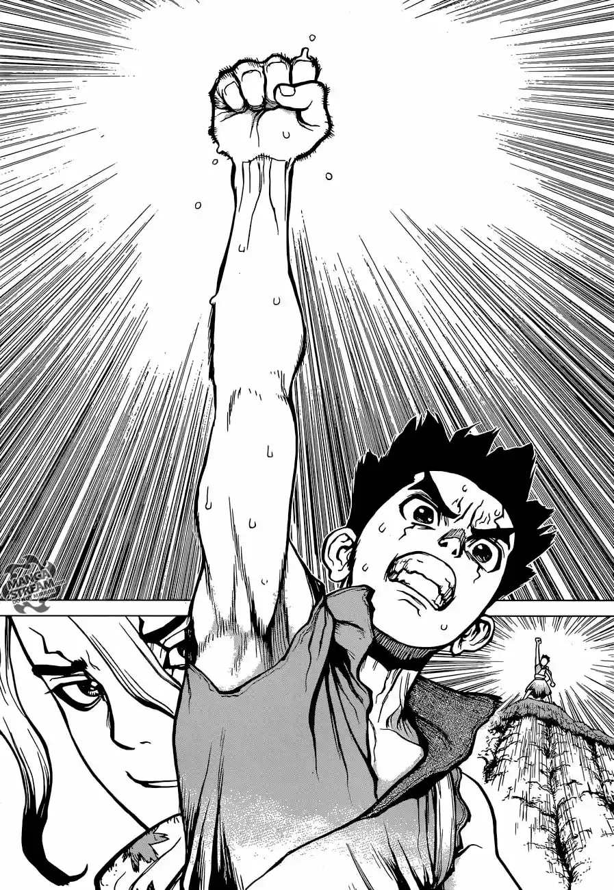 Dr.Stone - Capítulo 15 - Página 16 - LectorTMOo