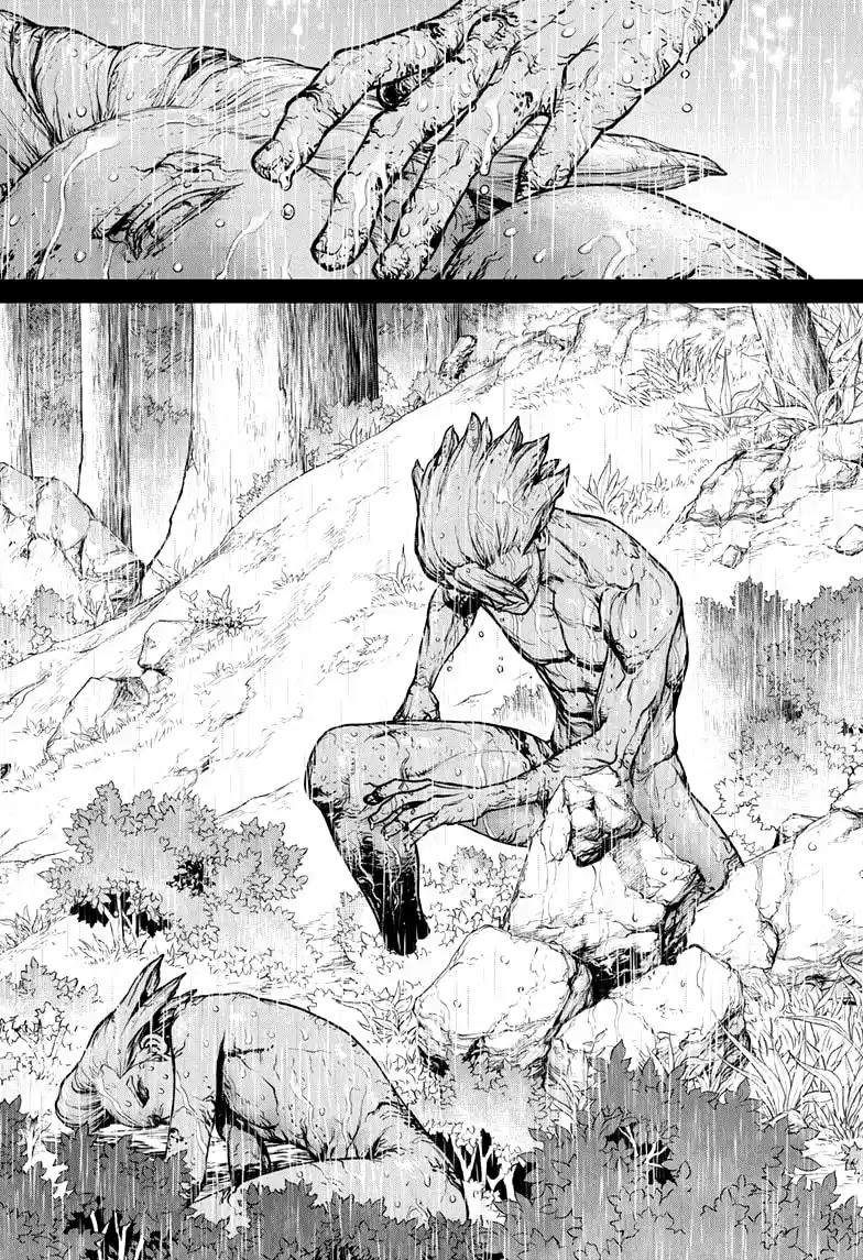 Dr.Stone - Capítulo 157 - Página 15 - LectorTMOo