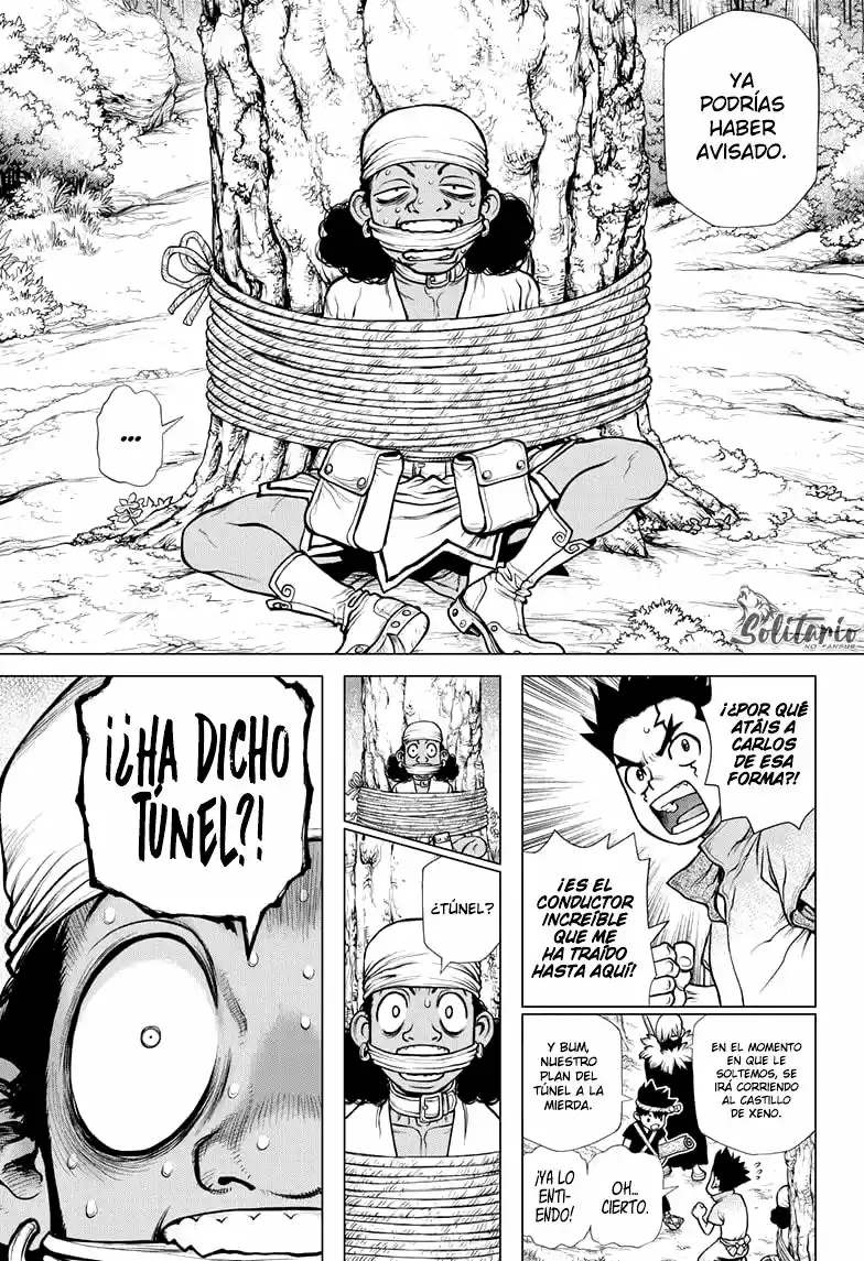 Dr.Stone - Capítulo 162 - Página 17 - LectorTMOo