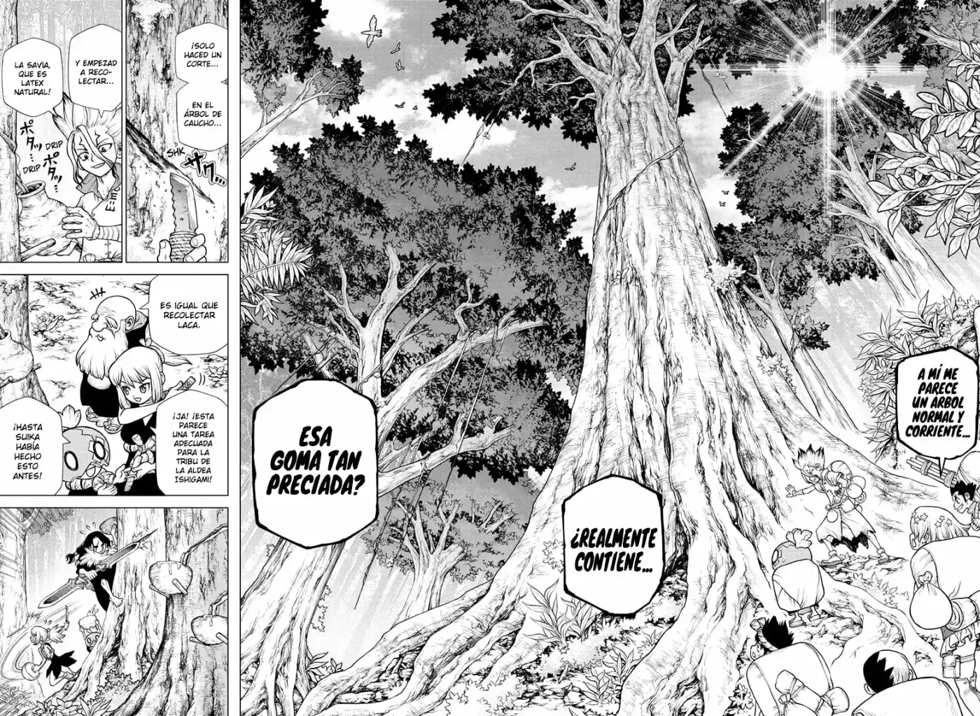 Dr.Stone - Capítulo 174 - Página 13 - LectorTMOo