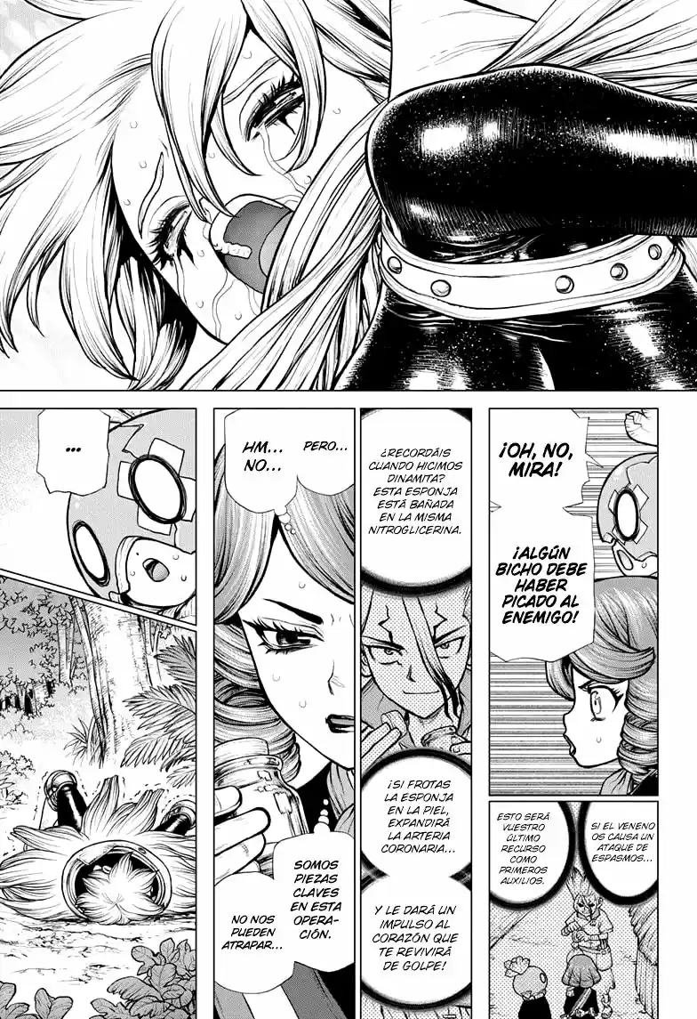 Dr.Stone - Capítulo 185 - Página 16 - LectorTMOo