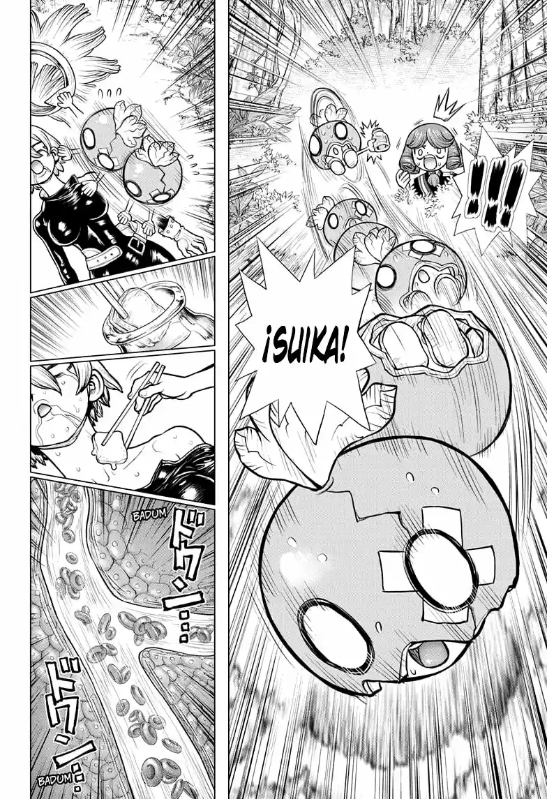 Dr.Stone - Capítulo 185 - Página 17 - LectorTMOo