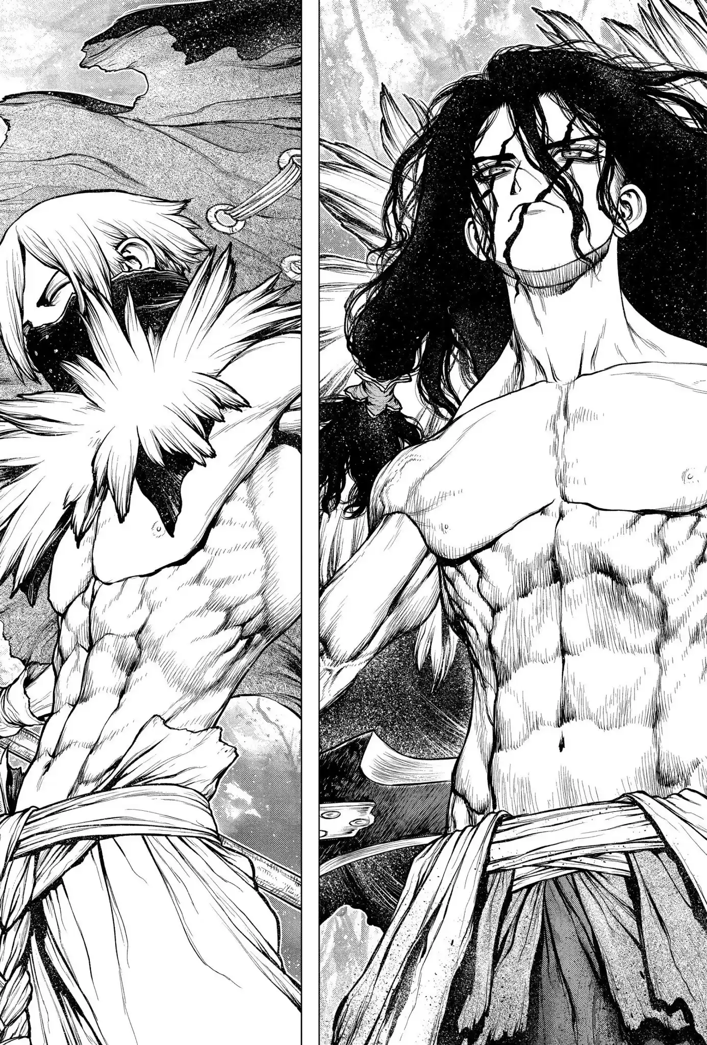 Dr.Stone - Capítulo 187 - Página 17 - LectorTMOo