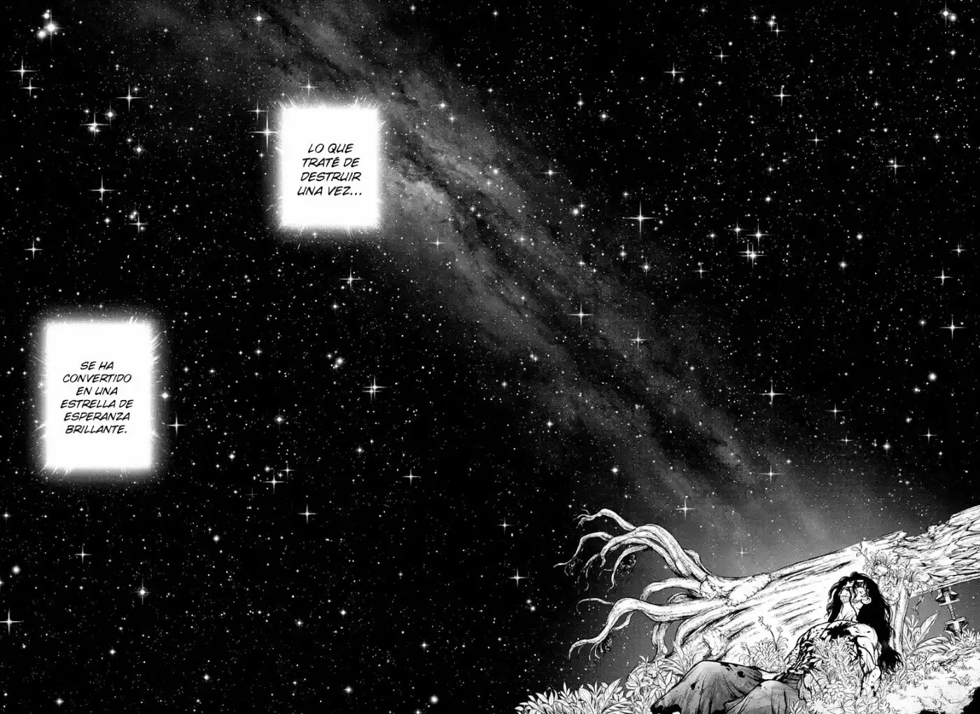 Dr.Stone - Capítulo 188 - Página 17 - LectorTMOo