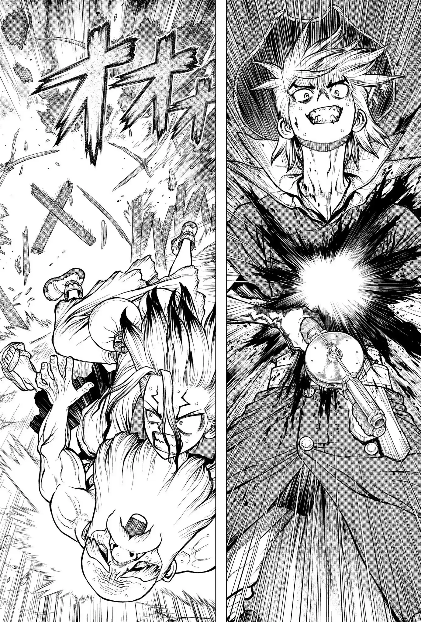 Dr.Stone - Capítulo 189 - Página 22 - LectorTMOo