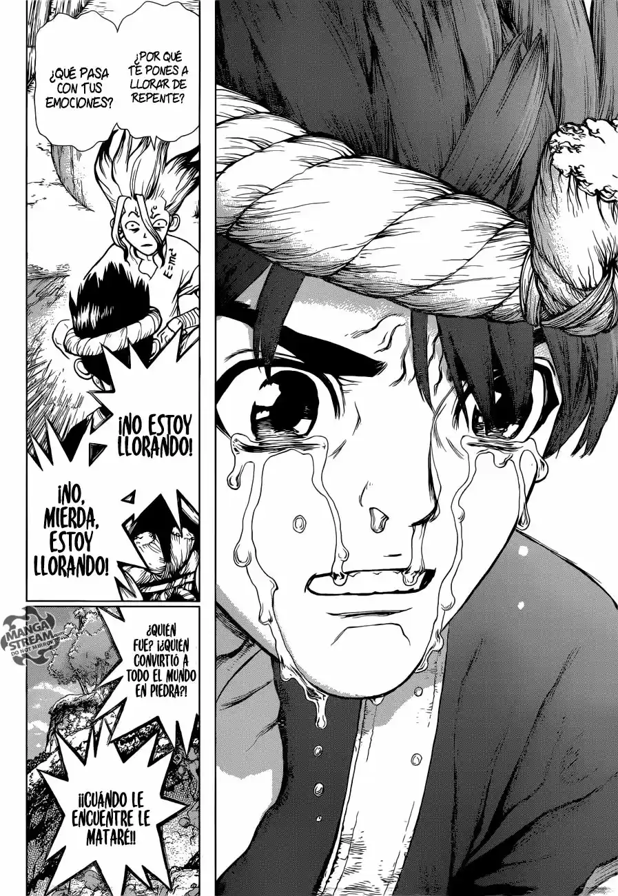 Dr.Stone - Capítulo 19 - Página 14 - LectorTMOo