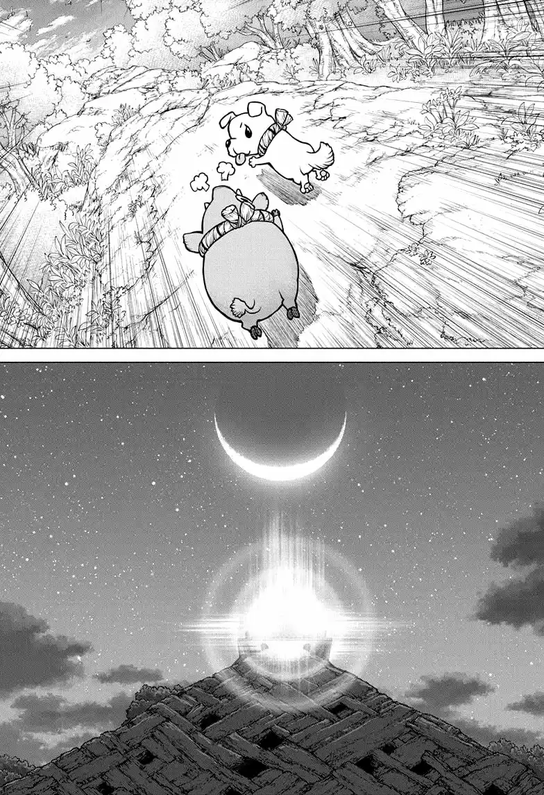 Dr.Stone - Capítulo 193 - Página 17 - LectorTMOo