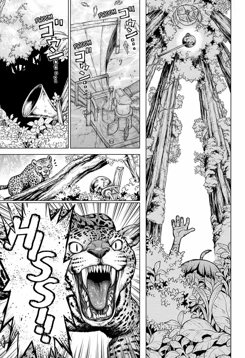 Dr.Stone - Capítulo 194 - Página 5 - LectorTMOo