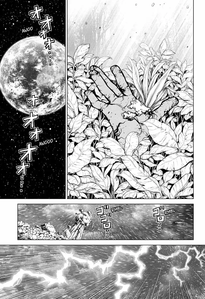 Dr.Stone - Capítulo 194 - Página 7 - LectorTMOo