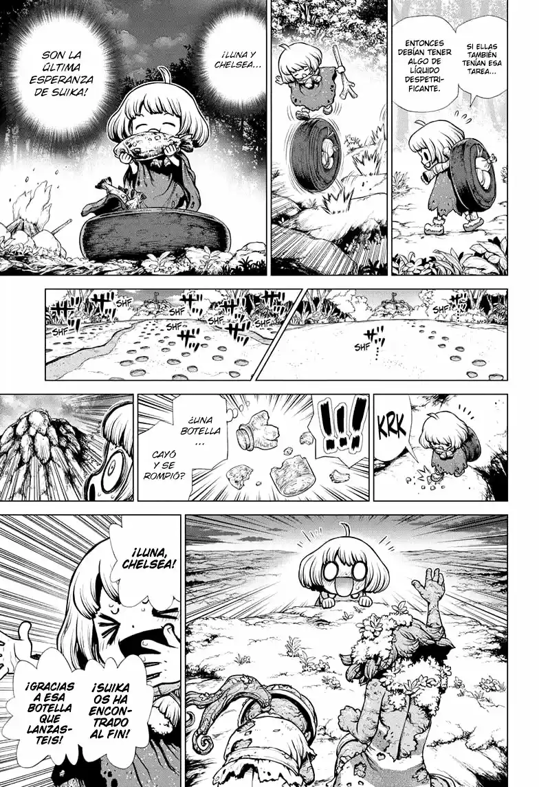 Dr.Stone - Capítulo 195 - Página 14 - LectorTMOo