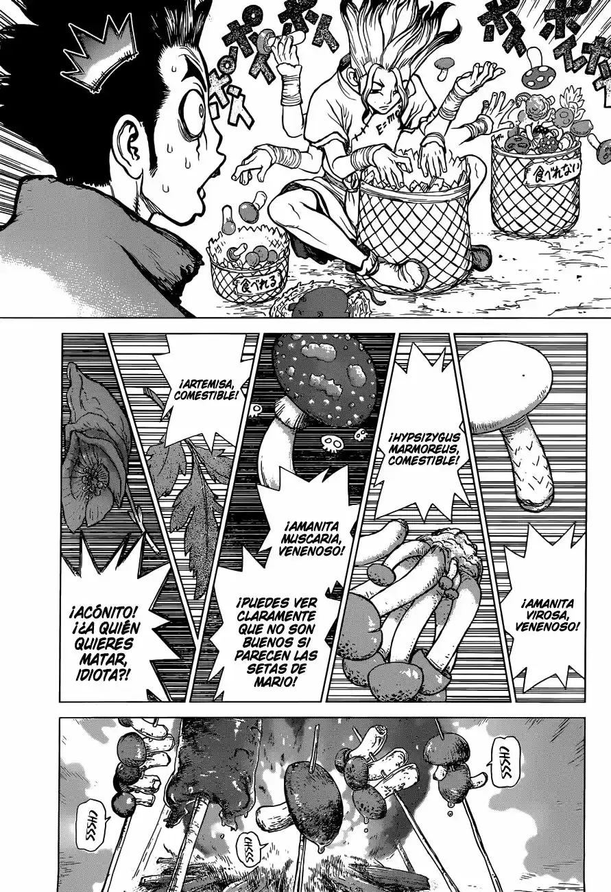 Dr.Stone - Capítulo 2 - Página 3 - LectorTMOo