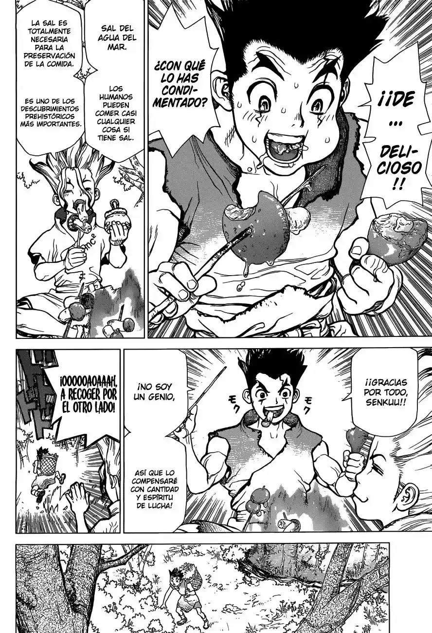 Dr.Stone - Capítulo 2 - Página 4 - LectorTMOo
